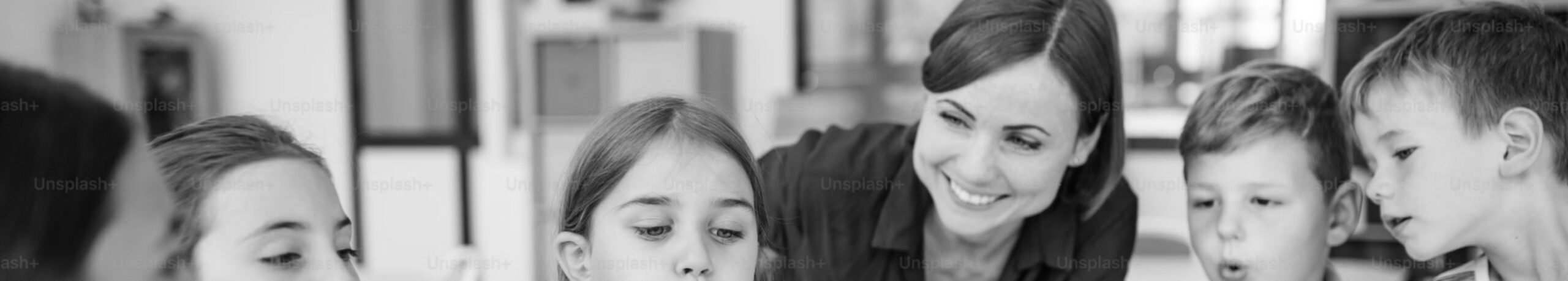 Third-Party Assessment Options